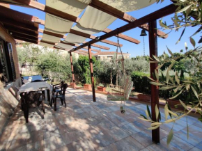 Violella Apartment Chiusi